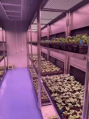 30-Day Return Illuminated Growing House for Seedlings Illuminated Cultivation Method