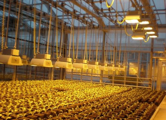 30-Day Return Illuminated Growing House for Seedlings Illuminated Cultivation Method
