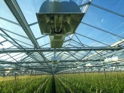30-Day Return Illuminated Growing House for Seedlings Illuminated Cultivation Method