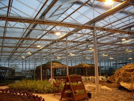 Tomato Cucumber Lettuce Growing System Gross Weight 2000.000kg Request Customization
