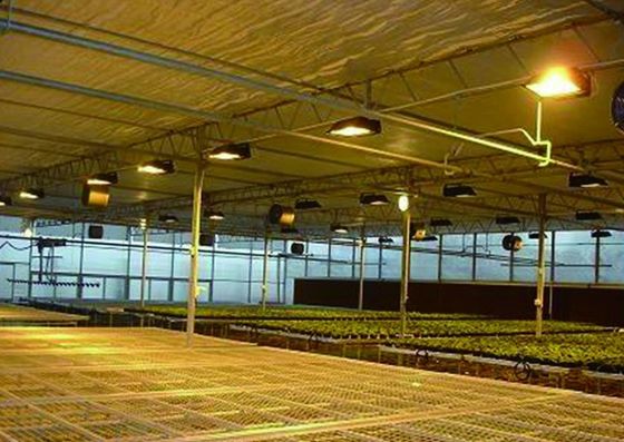 Tomato Cucumber Lettuce Growing System Gross Weight 2000.000kg Request Customization