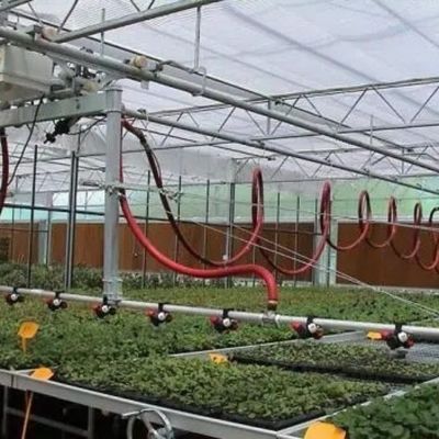 Customized Film Thickness Agricultural Used Plastic Film Hydropoinics Greenhouses