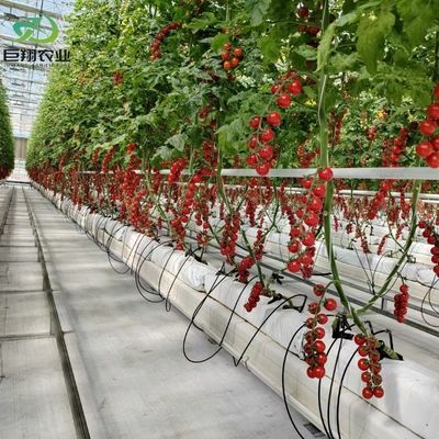 Customized Film Thickness Agricultural Used Plastic Film Hydropoinics Greenhouses