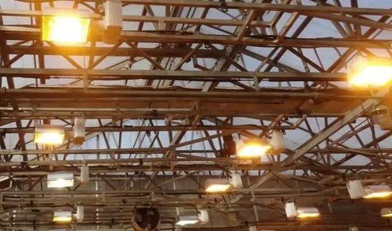 Customized Request Juxiang Tomato Cucumber Lettuce Structure Illuminating Greenhouse