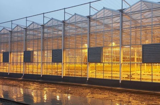Customized Request Juxiang Tomato Cucumber Lettuce Structure Illuminating Greenhouse