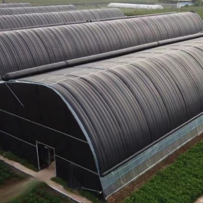 Steel-Plastic Double Arch Beam Greenhouse with Snow Vibrator Arched Roof Heavy Snow Area