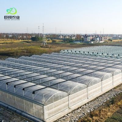 Double Arch Beam Sunlight Greenhouse for Heavy Snow Area Featuring Snow Vibrator