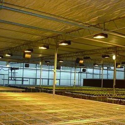 Return refunds Guaranteed Multi-Span Greenhouse for Growing Tomato Cucumber Lettuce