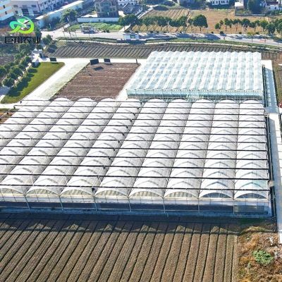 Continuous Heating and Tunnel Cultivation Method Agricultural Plastic Film Greenhouse