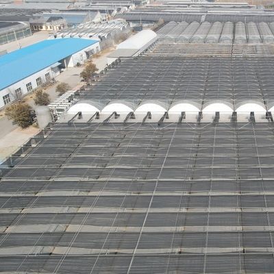 Continuous Heating and Tunnel Cultivation Method Agricultural Plastic Film Greenhouse