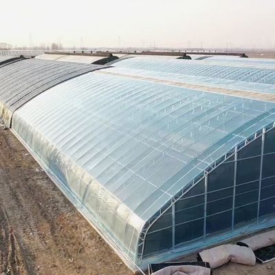 Continuous Heating and Tunnel Cultivation Method Agricultural Plastic Film Greenhouse