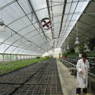 Continuous Heating and Tunnel Cultivation Method Agricultural Plastic Film Greenhouse