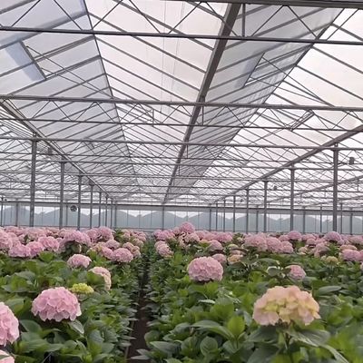 50.00cm * 60.00cm * 80.00cm Package Size Glass Greenhouse Hydroponics Growing System
