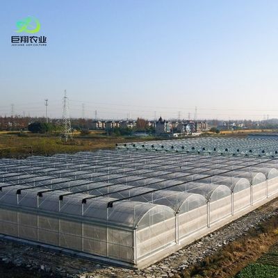Agricultural Multi-Span Plastic Tunnel Film Greenhouse with Eaves Height from 3m to 8m