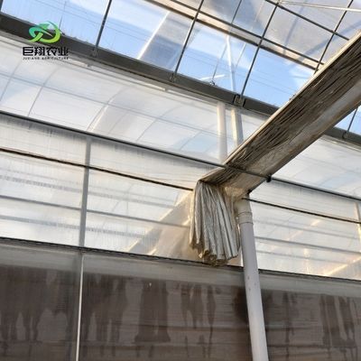Agricultural Multi-Span Plastic Tunnel Film Greenhouse with Eaves Height from 3m to 8m