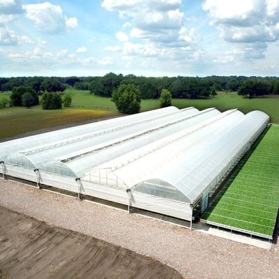 Agricultural Multi-Span Plastic Tunnel Film Greenhouse with Eaves Height from 3m to 8m