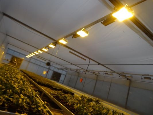 Wet Curtain Controlled Inlluminating Greenhouse for 2000.000kg Package Gross Weight