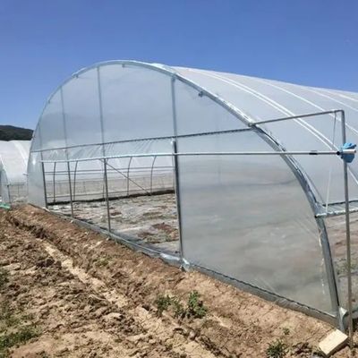Arched Roof Agricultural Multi-Span Plastic Tunnel JX-PC Green House for Agriculture