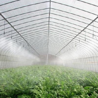Customized Request Production Greenhouse Agricultural Multi-Span Plastic Tunnel Film
