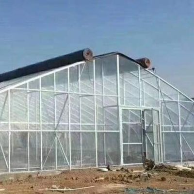 Customized Request Production Greenhouse Agricultural Multi-Span Plastic Tunnel Film