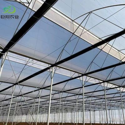 Customized Request Agricultural Multi-Span Plastic Tunnel Film Greenhouse for Production