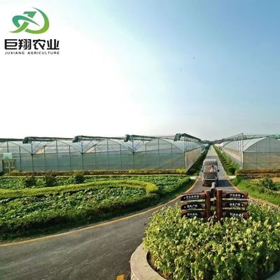 Customized Request Agricultural Multi-Span Plastic Tunnel Film Greenhouse for Production