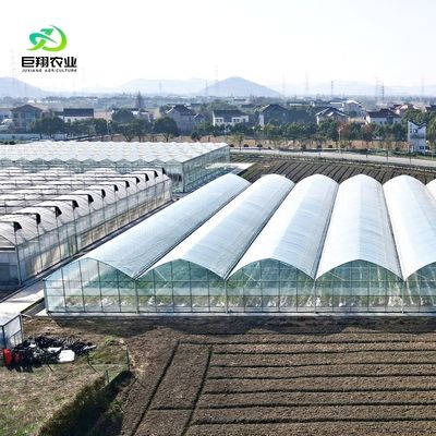 Customized Request Agricultural Multi-Span Plastic Tunnel Film Greenhouse for Production