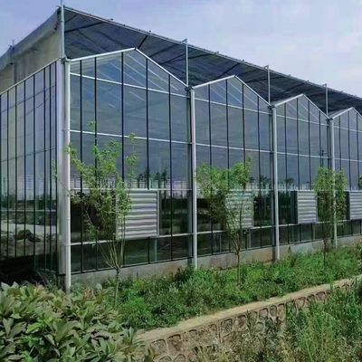 Multi-Span Hydroponics Growing with Good Light Transmission and Customizable Options