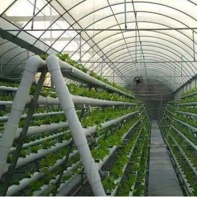 Customized Soilless Culture Solutions for Glass Greenhouse Department Cover Material Film