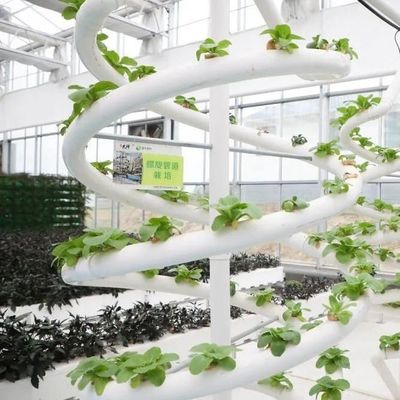 High Yield Greenhouse Hydroponic System Customization for Commercial Sustainability