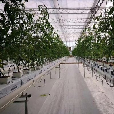 High Yield Greenhouse Hydroponic System Customization for Commercial Sustainability