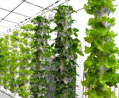 Farming Film Greenhouse Hydroponic Setup with Steel Structure and Large-Scale Capacity