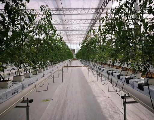 Film Greenhouse Hydroponic System Package Gross Weight 2000.000kg Customized Request