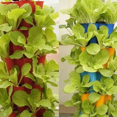 Film Greenhouse Hydroponic System Package Gross Weight 2000.000kg Customized Request