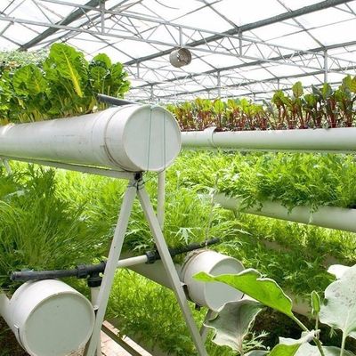 6/9.6/12meters Cultivation Method Hydroponic System for Juxiang Film Greenhouse Easy