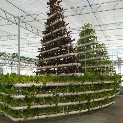 6/9.6/12meters Cultivation Method Hydroponic System for Juxiang Film Greenhouse Easy