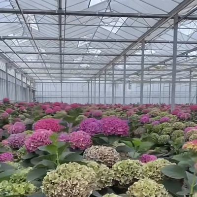 JX-A0064 Large Float Single Layer Hollow Glass Greenhouse for Hydroponics Growing