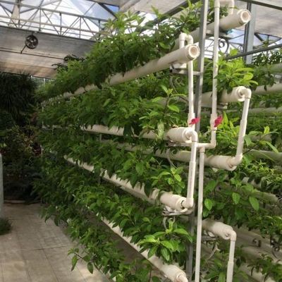 Innovative Hydroponic System for Film Greenhouse Cultivation Full Payment Option