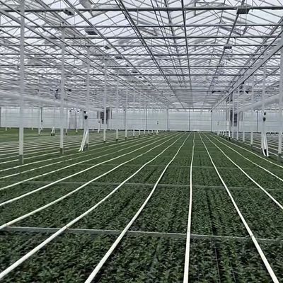 JX-A0064 Large Float Single Layer Hollow Glass Greenhouse for Hydroponics Growing