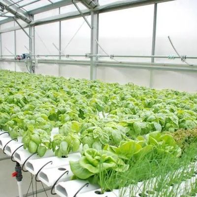 Hydroponic System Climate Control Film Greenhouse with Temporary Heating by Juxiang