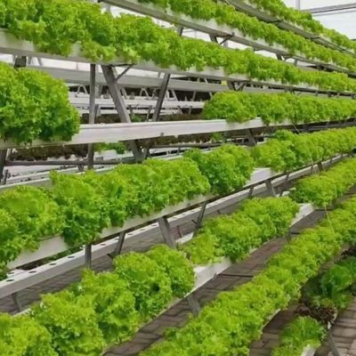 Hydroponic System Climate Control Film Greenhouse with Temporary Heating by Juxiang