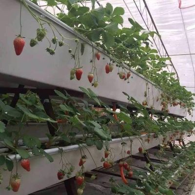 Hydroponic System Climate Control Film Greenhouse with Temporary Heating by Juxiang