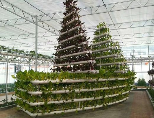 Glass Greenhouse Hydroponic Setup for Year-Round Cultivation Affordable Shipping Cost