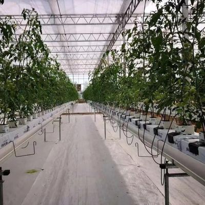 Glass Greenhouse Hydroponic Setup for Year-Round Cultivation Affordable Shipping Cost