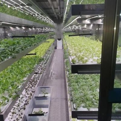 Glass Greenhouse Hydroponic Setup for Year-Round Cultivation Affordable Shipping Cost