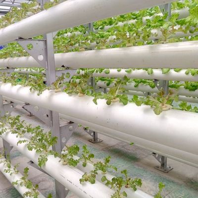 9.6m Film Greenhouse for Maximum Yield in Soilless Cultivation and Initial Payment