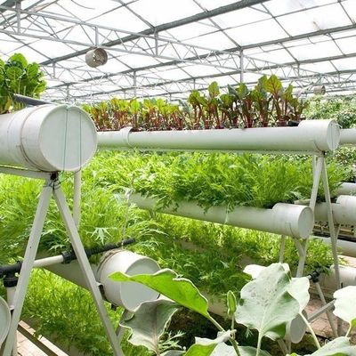 9.6m Film Greenhouse for Maximum Yield in Soilless Cultivation and Initial Payment