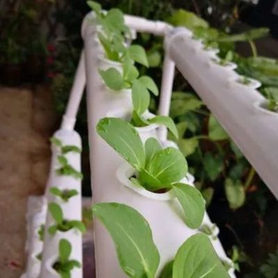 Temporary Heating Solutions for Glass Greenhouse Department Soilless Cultivation