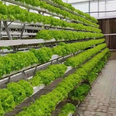 Temporary Heating Solutions for Glass Greenhouse Department Soilless Cultivation