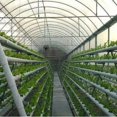 Large-Scale Farming Greenhouse Hydroponic System featuring Temporary Heating Method